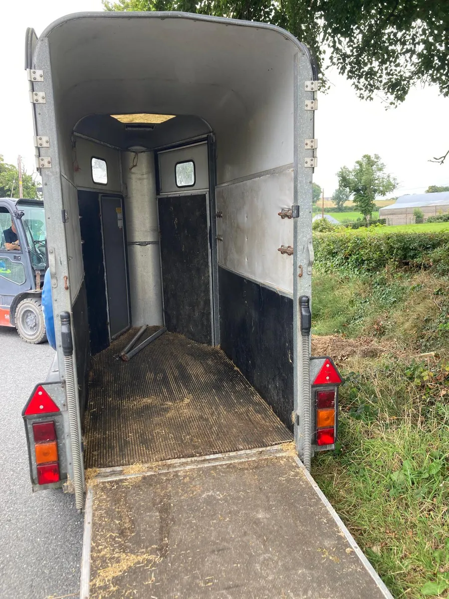 Trade Sale Ifor Williams HB401 Horsebox NO VAT - Image 3
