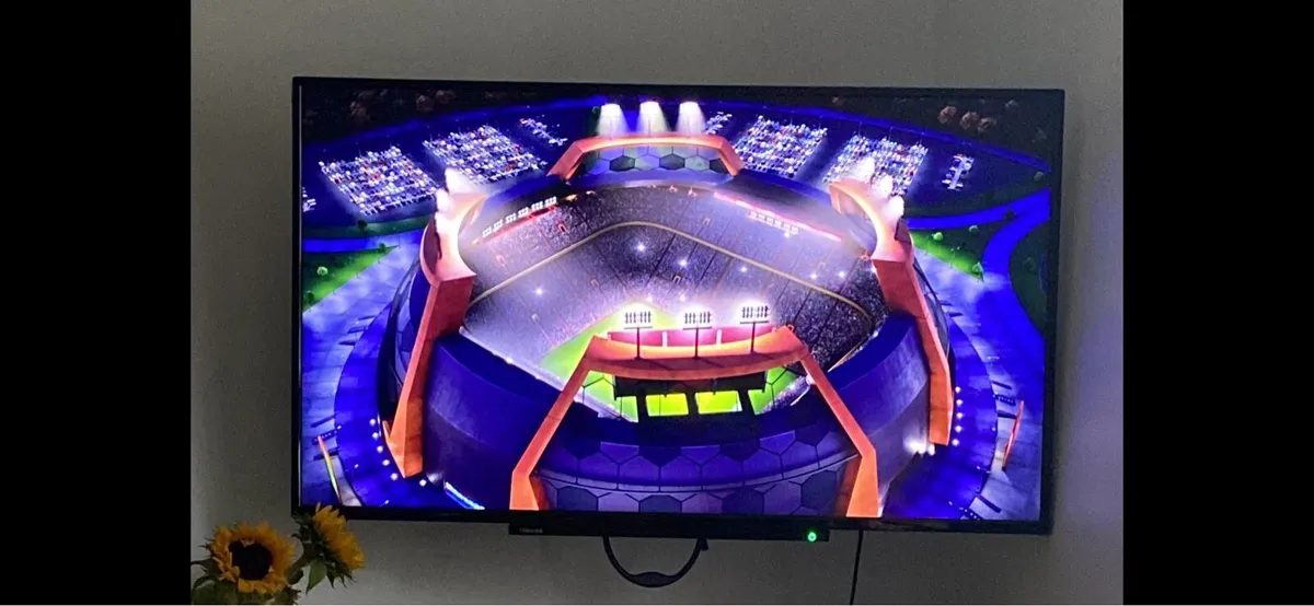 50 Inch TV - Image 1