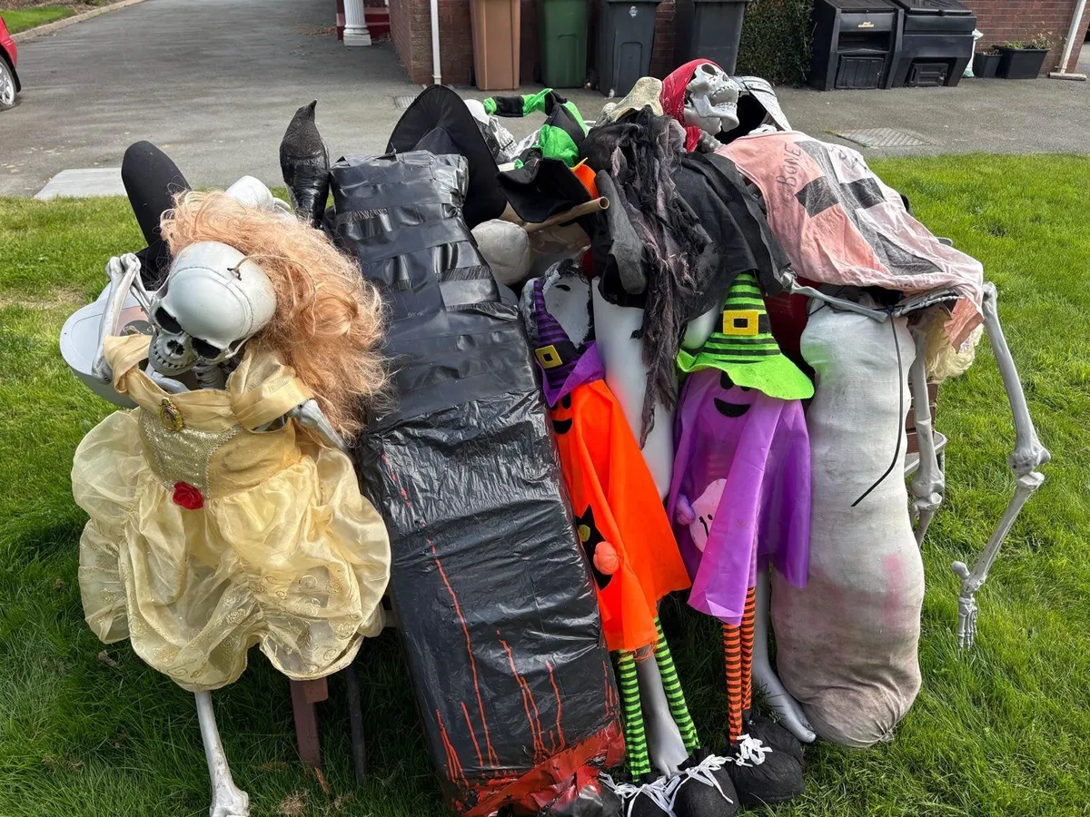 Halloween decor / props / costumes - Image 2