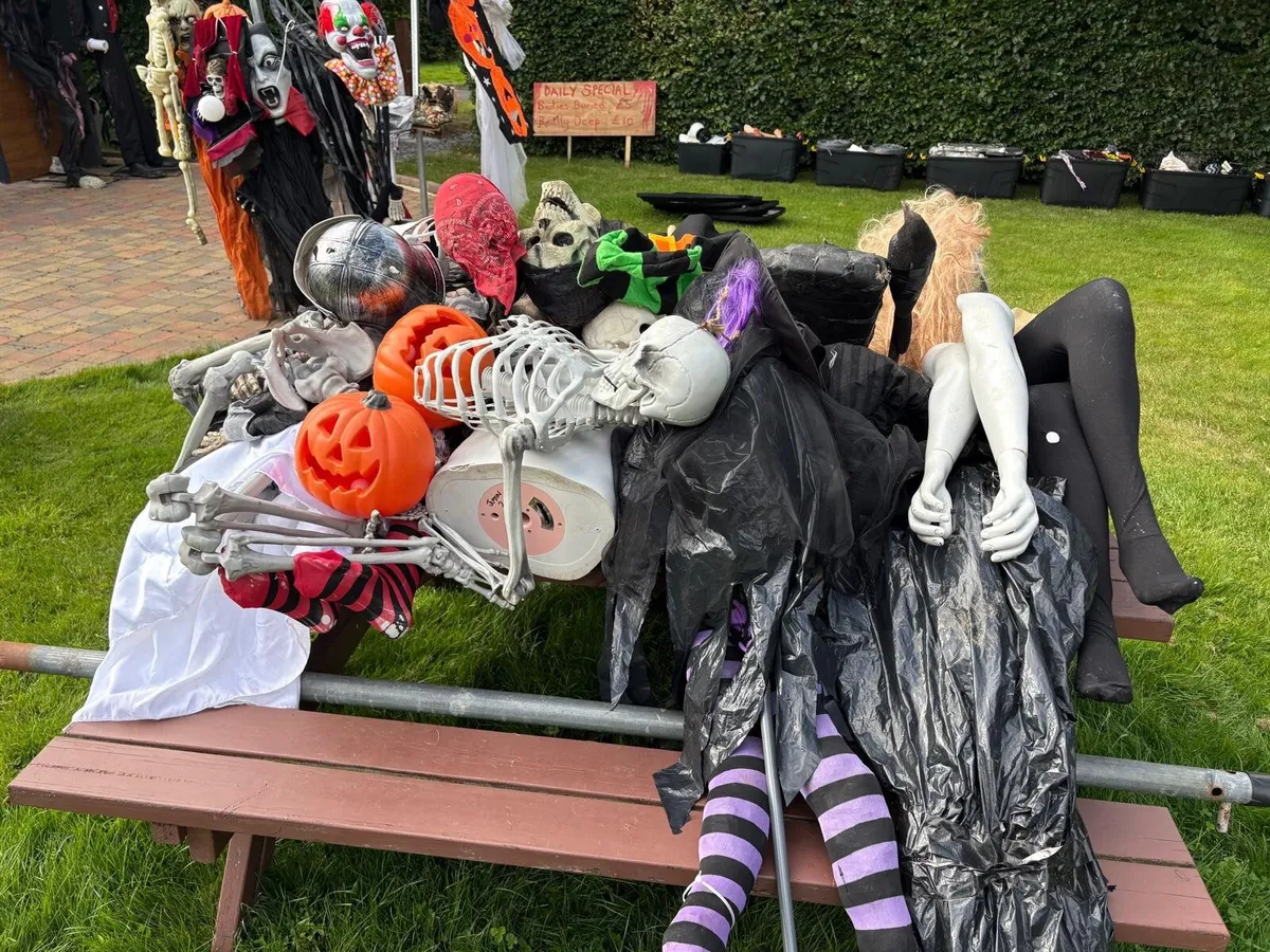 Halloween decor / props / costumes - Image 4