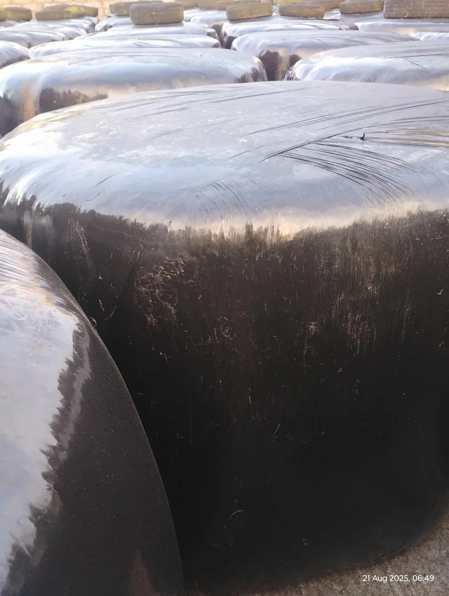 Round bale silage