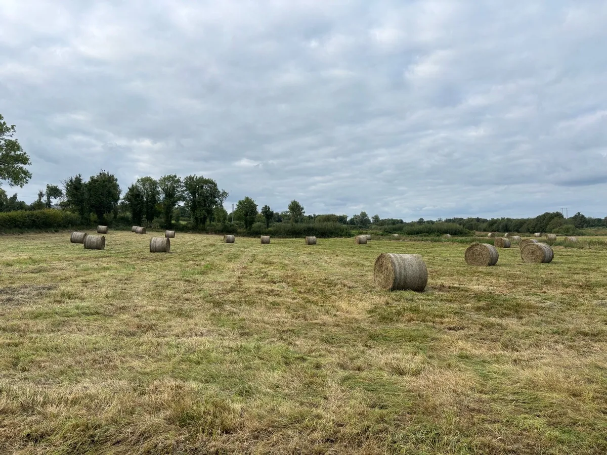 Bedding - Image 1