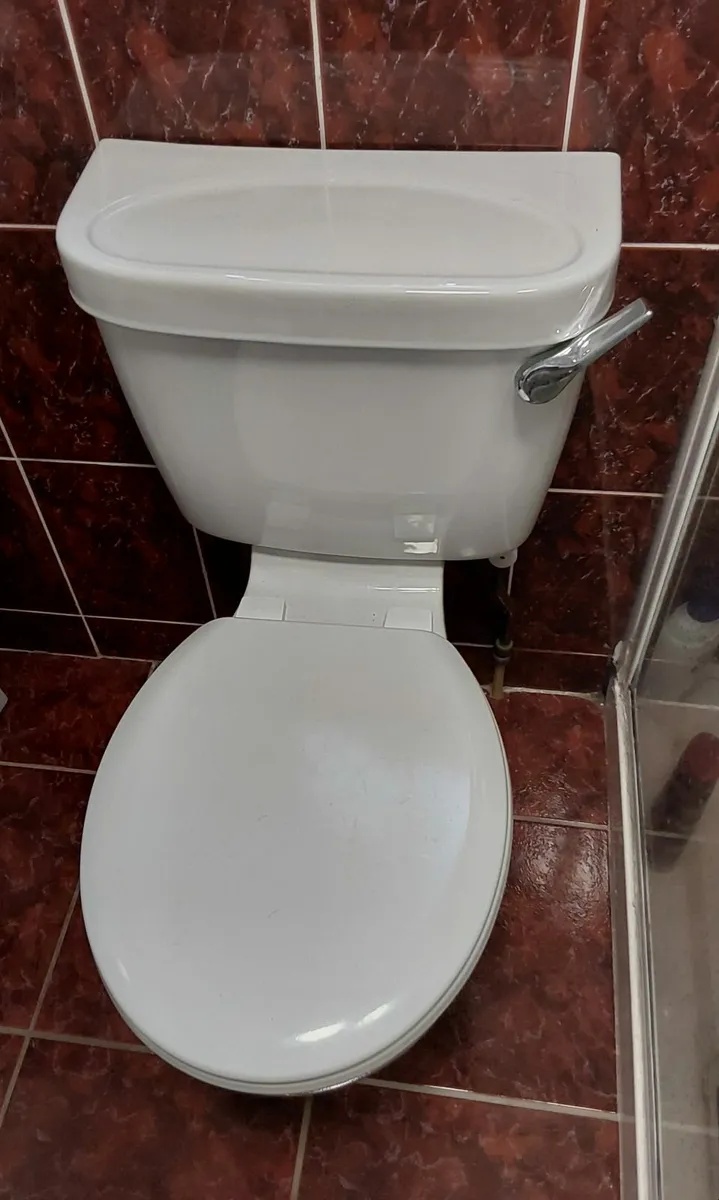 Sink plus pedestal, & toilet cistern - Image 2