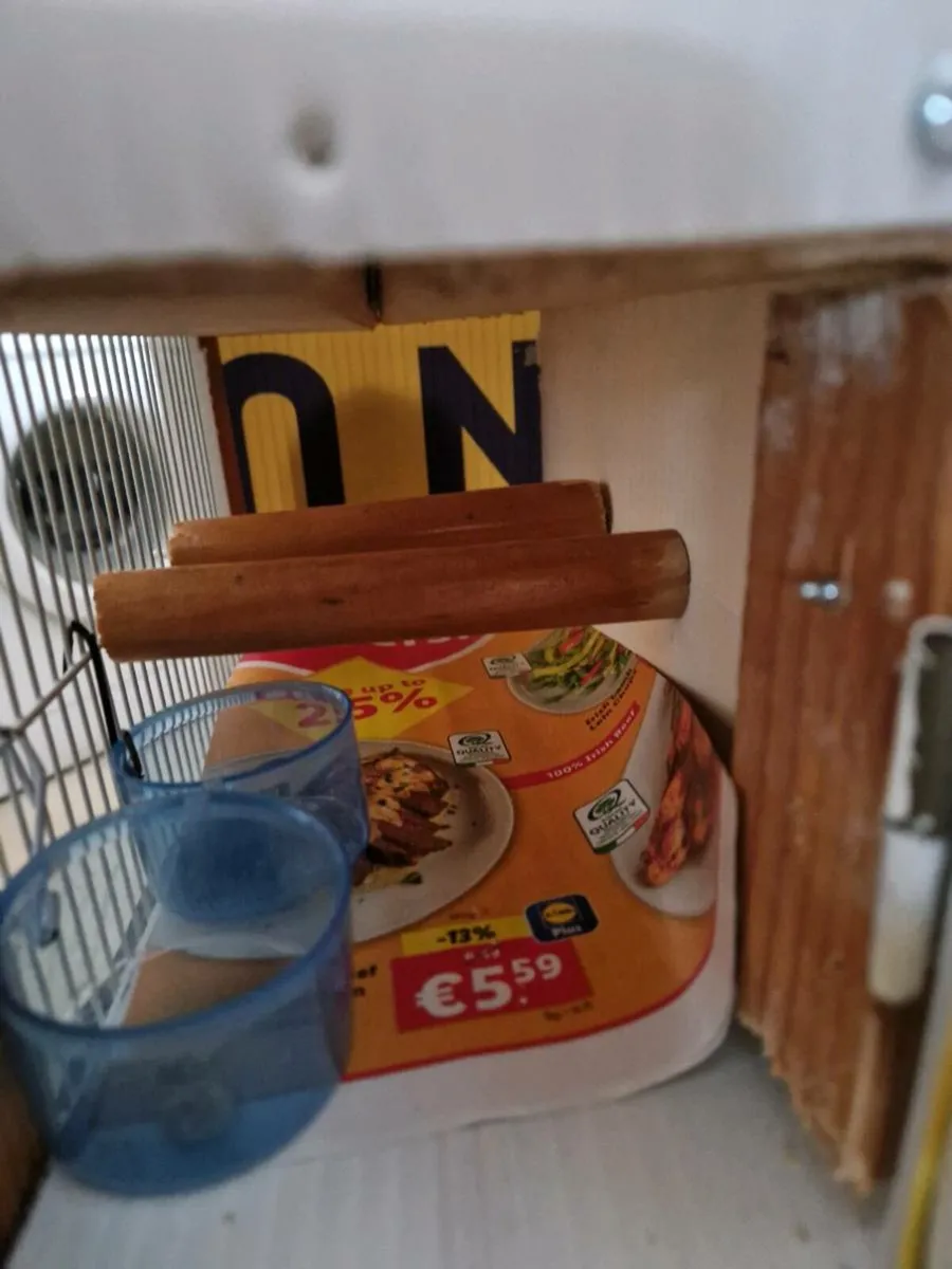 bird transport cage - Image 2