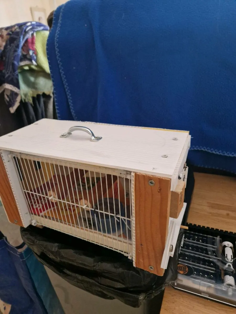 bird transport cage - Image 3