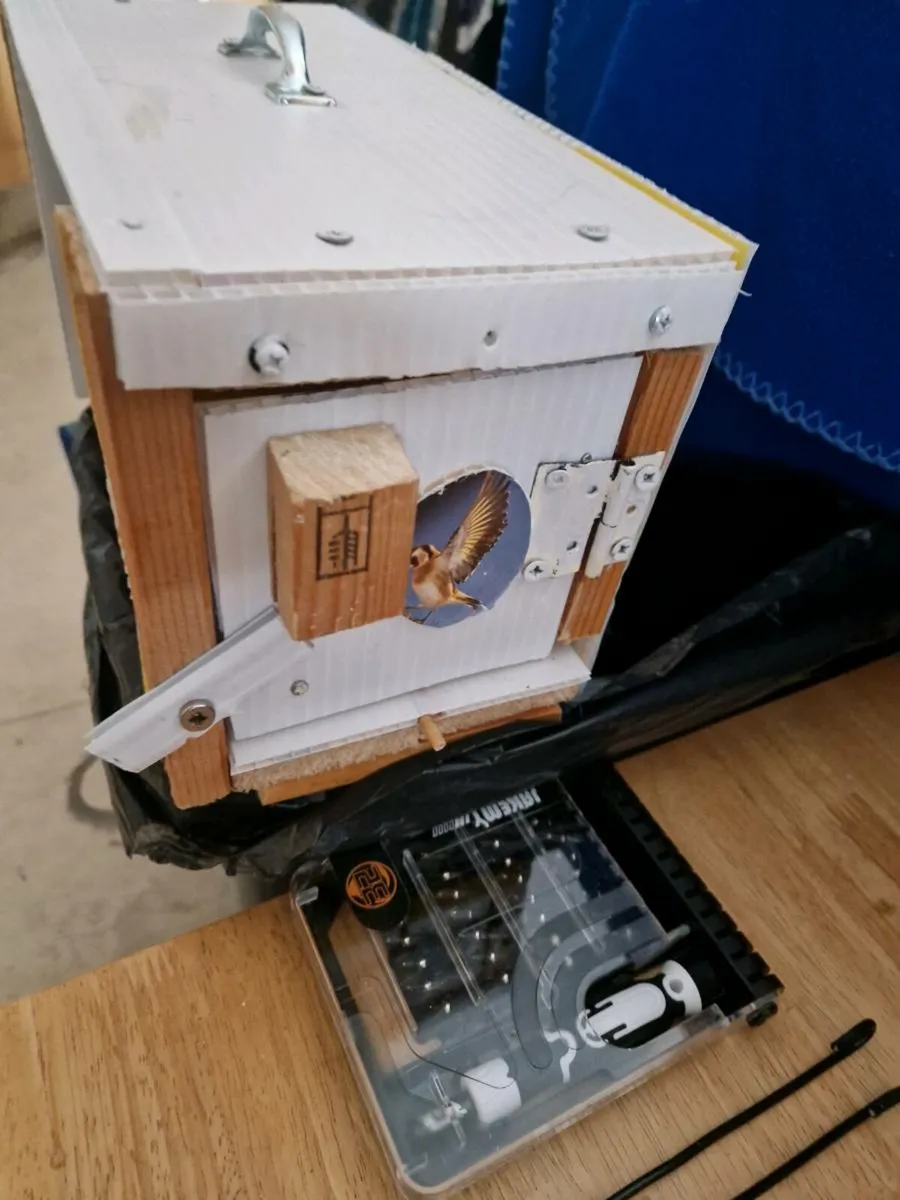bird transport cage - Image 4