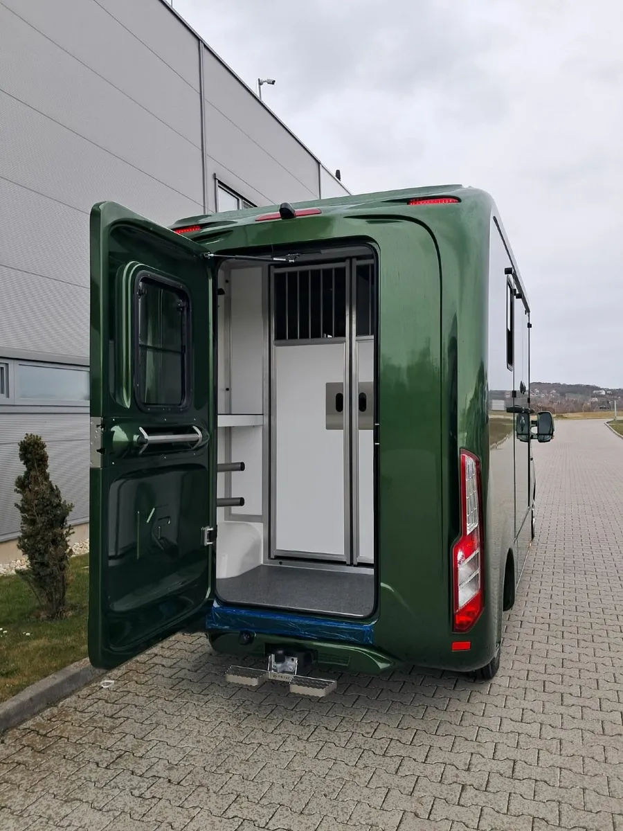 New Renault Masters for immediate delivery - Image 3