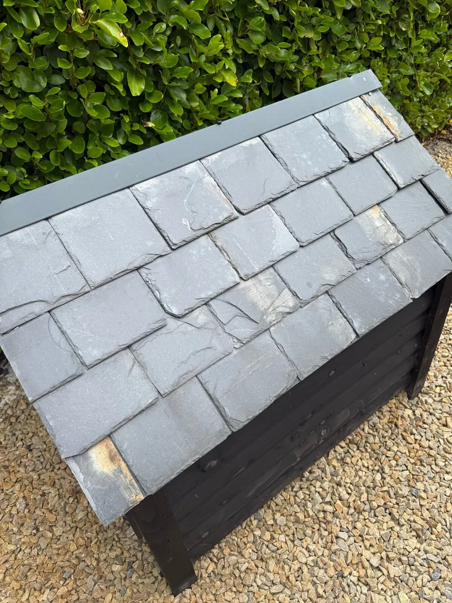 Dog box - Image 3
