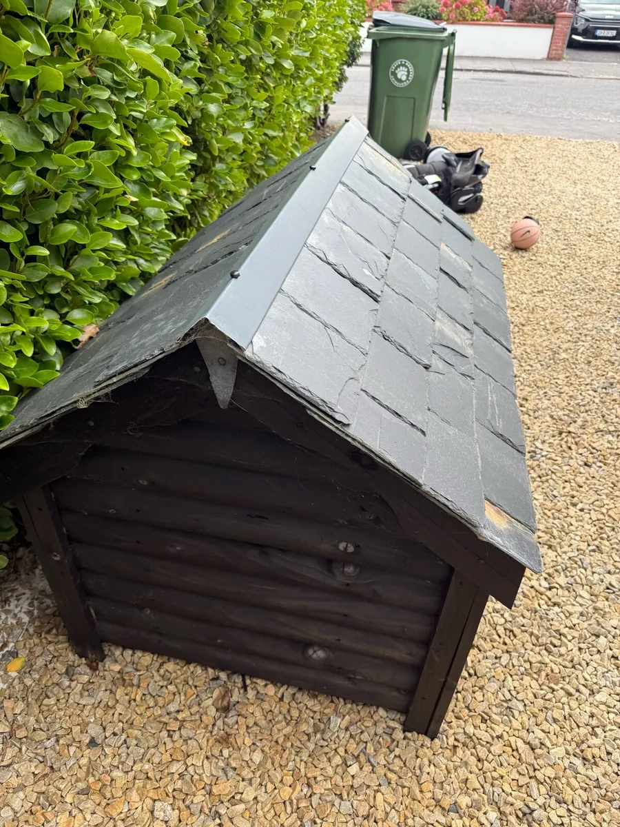 Dog box - Image 4