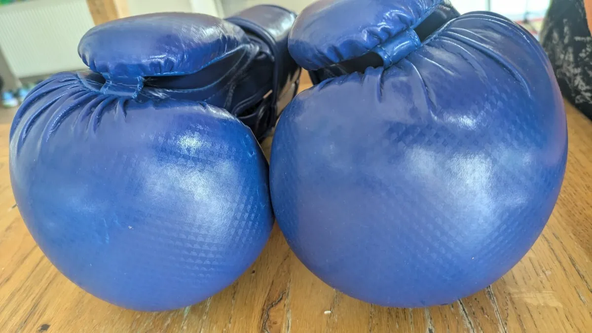 Boxing gloves - Image 2