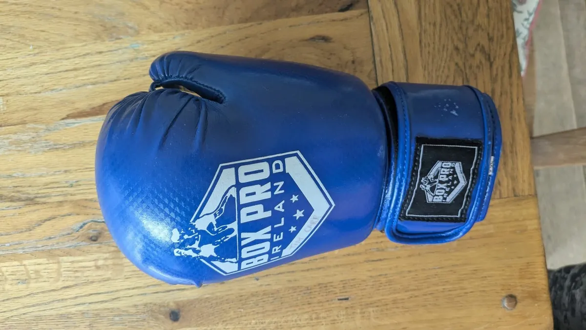 Boxing gloves - Image 3