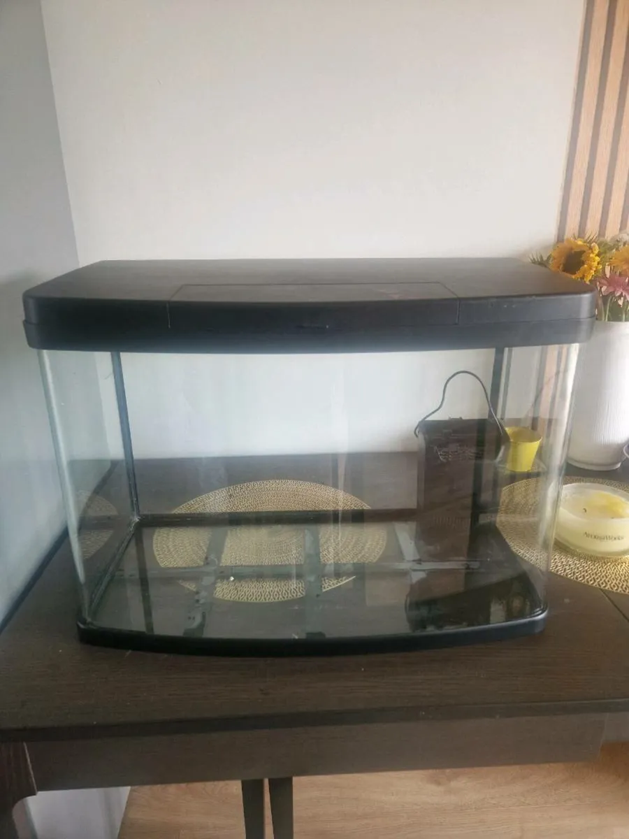 Fish tank - Image 1