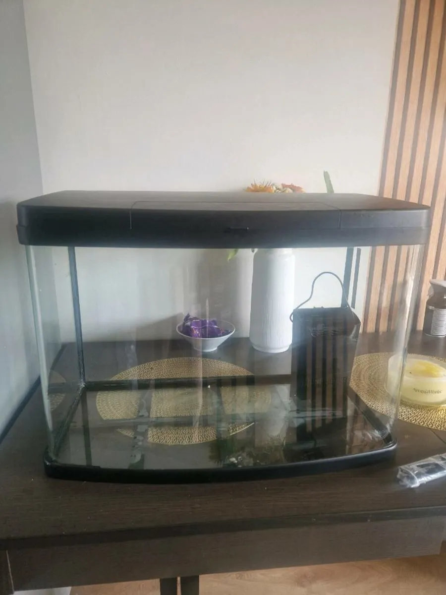 Fish tank - Image 2
