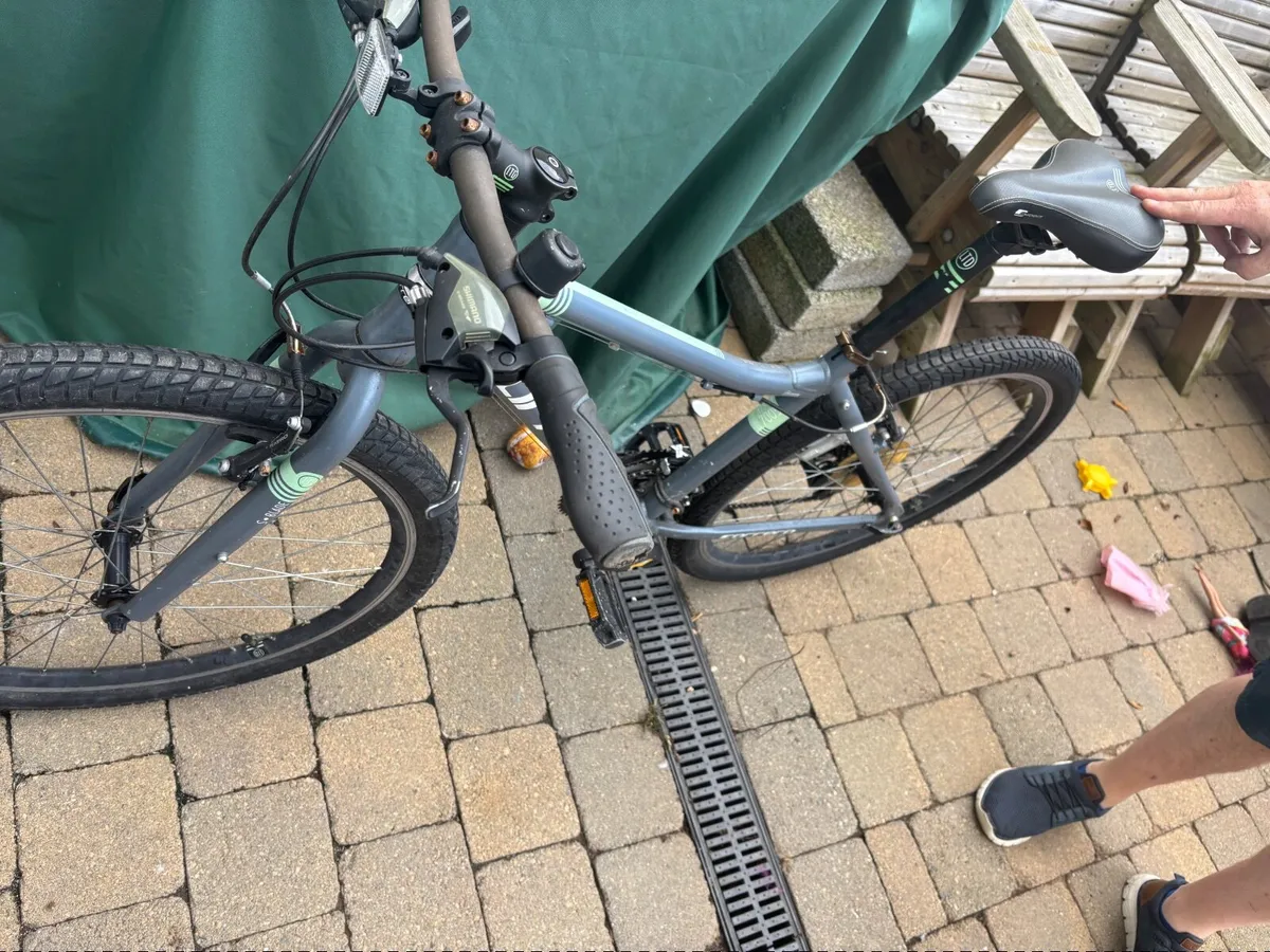 Bike - Image 1