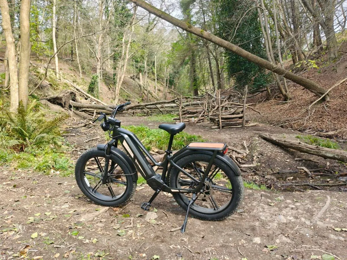 Fiido Titan eBike - Image 1