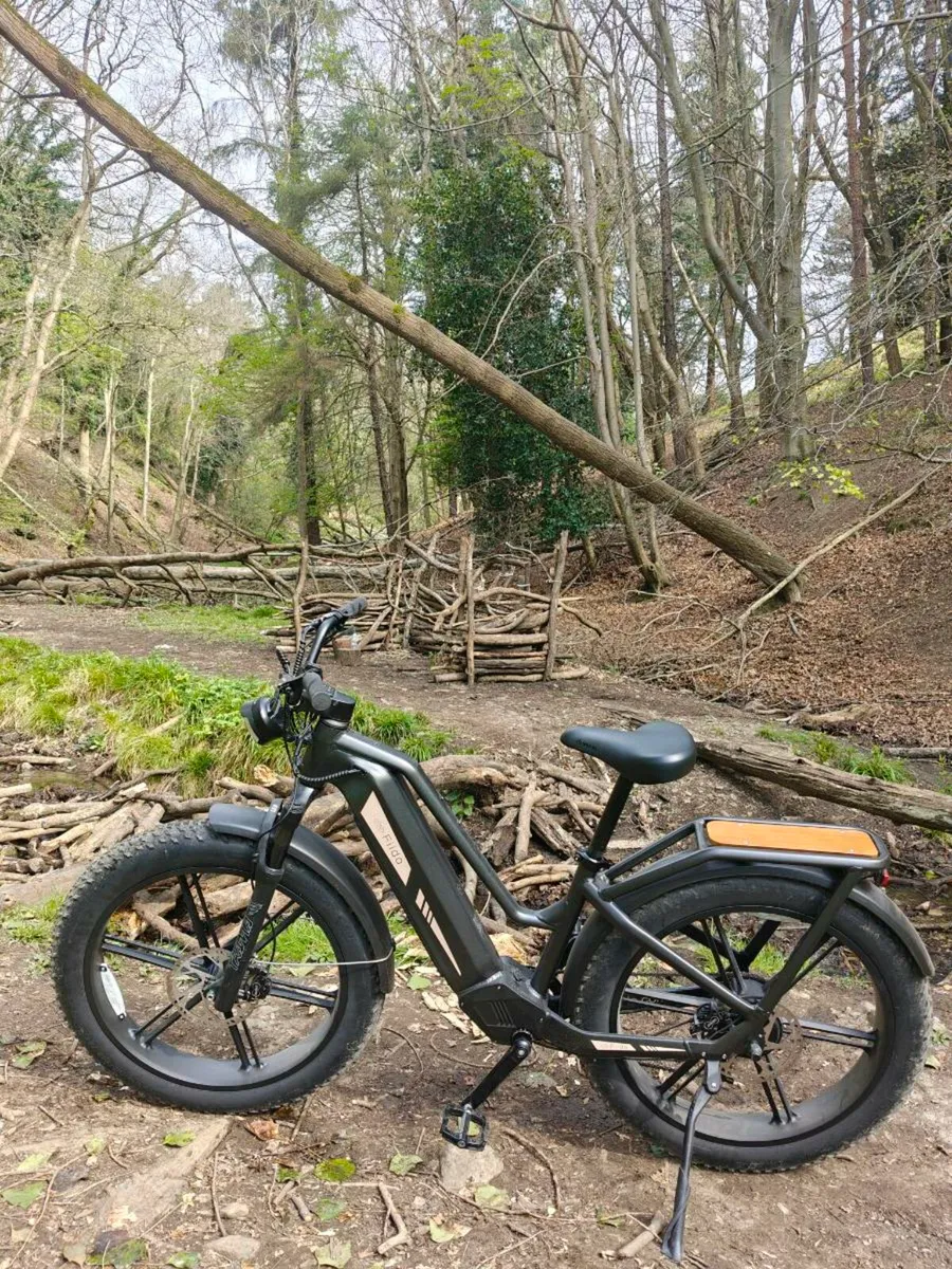 Fiido Titan eBike - Image 2