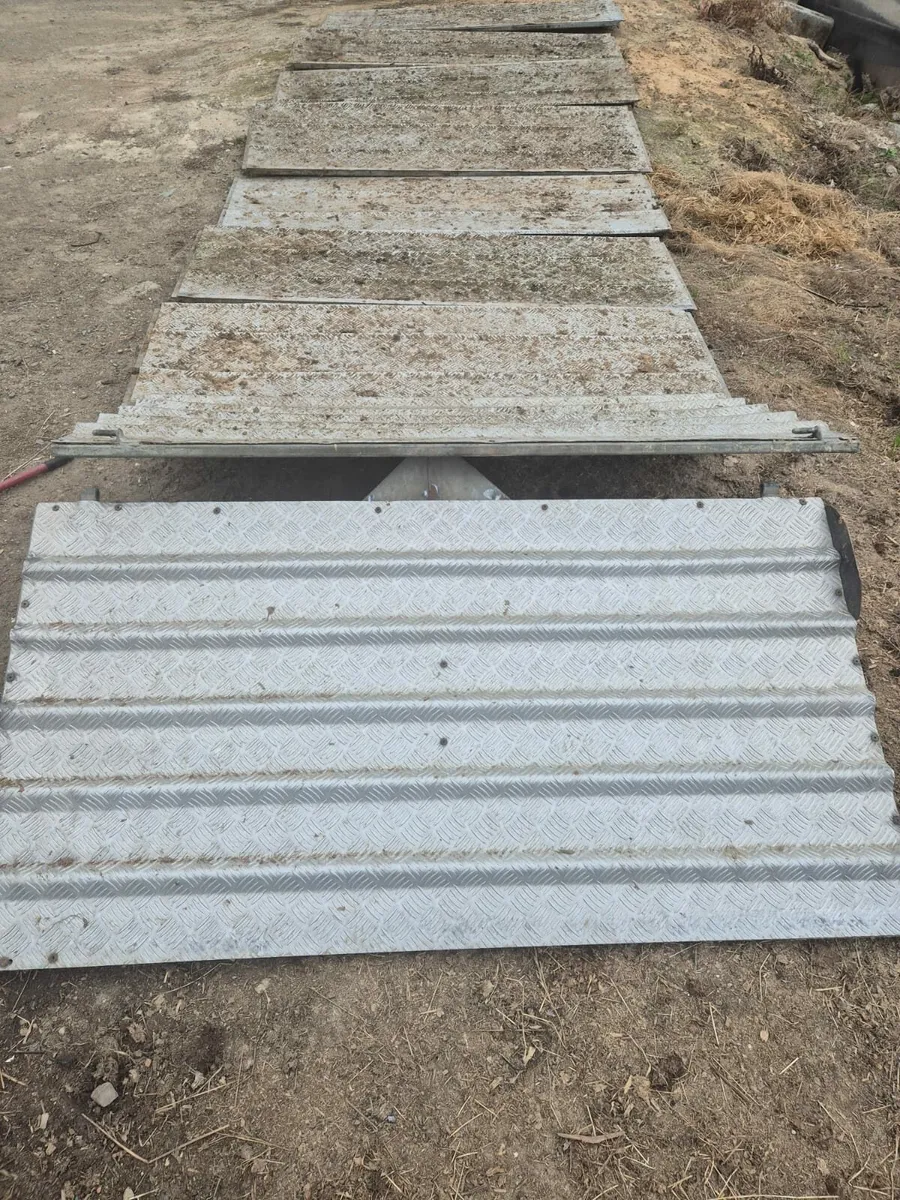 Nugent 14 x 6 sheep decks - Image 1