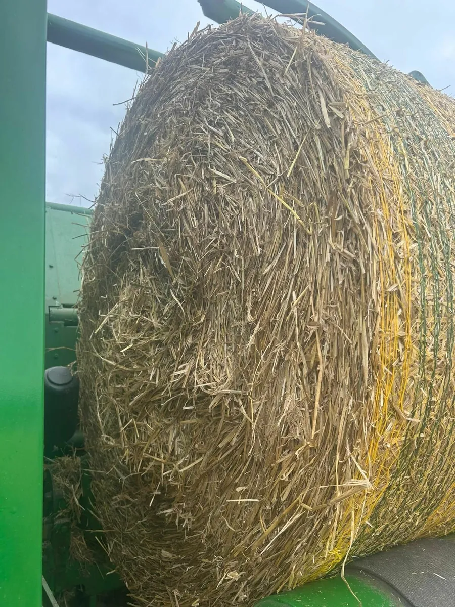 Round bales of Spring Barley straw - Image 1