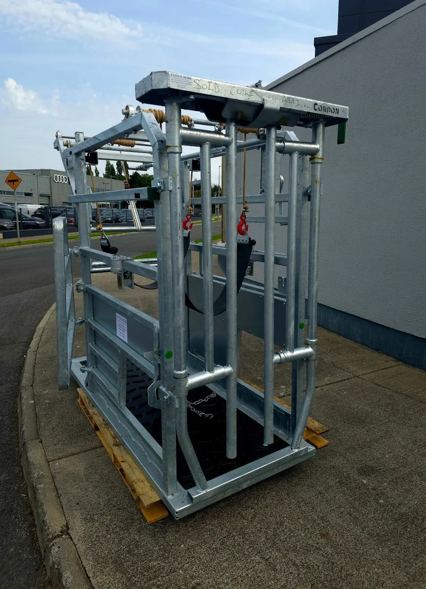 Condon Hoof Paring Crate - Image 1