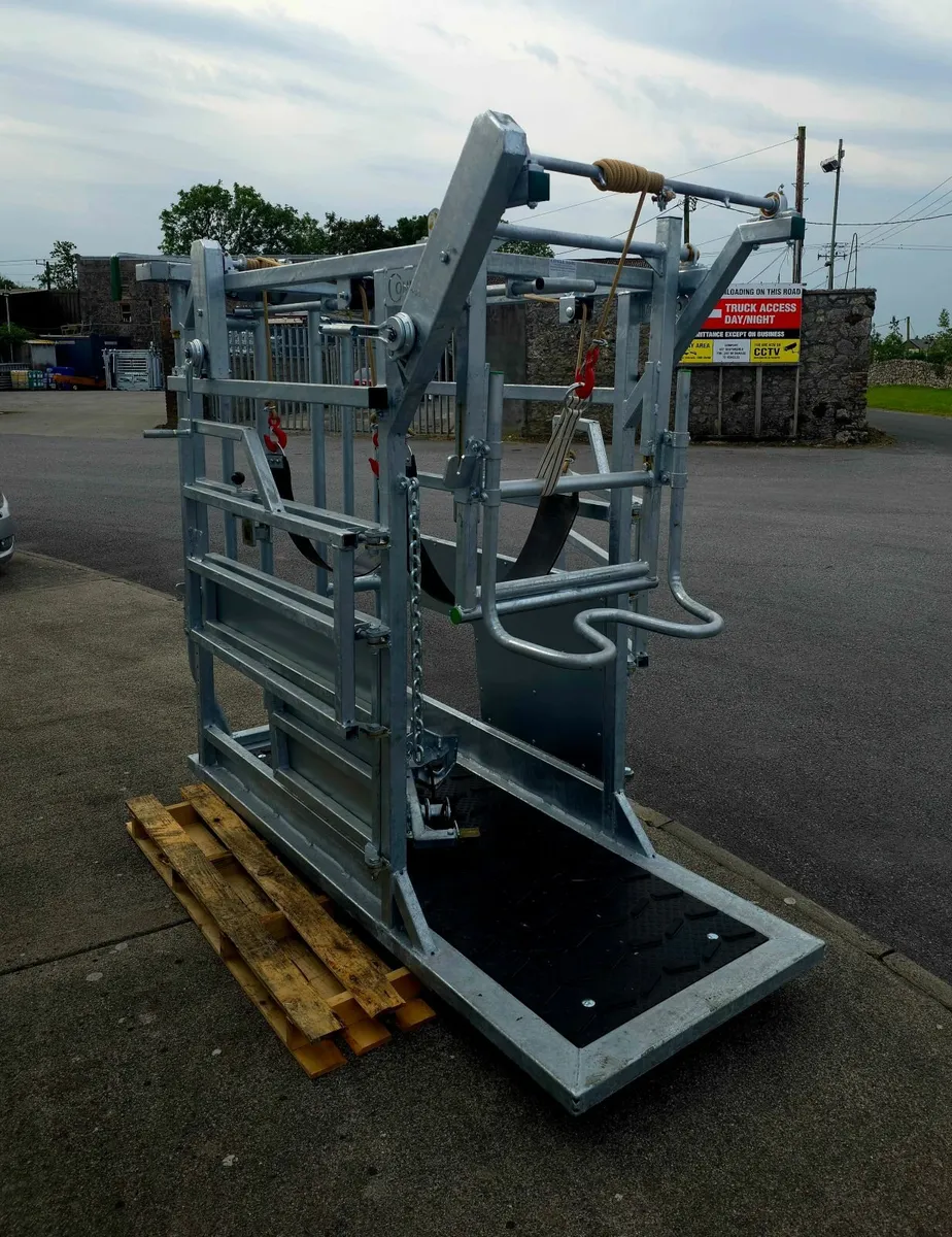 Condon Hoof Paring Crate - Image 3