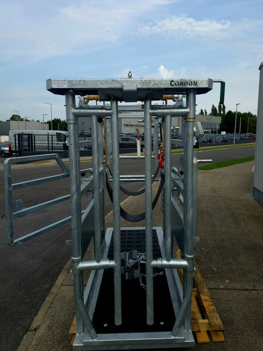 Condon Hoof Paring Crate - Image 4