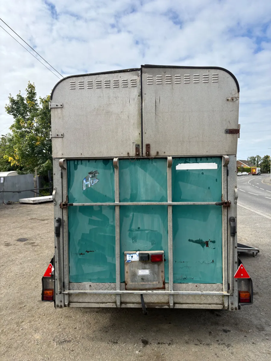 Ifor Williams 510 horse box - Image 3