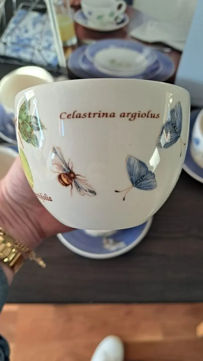 Wedgwood Sarah's Garden Blue Border Tea Cup & Saucer W/ Fruit - Image 3