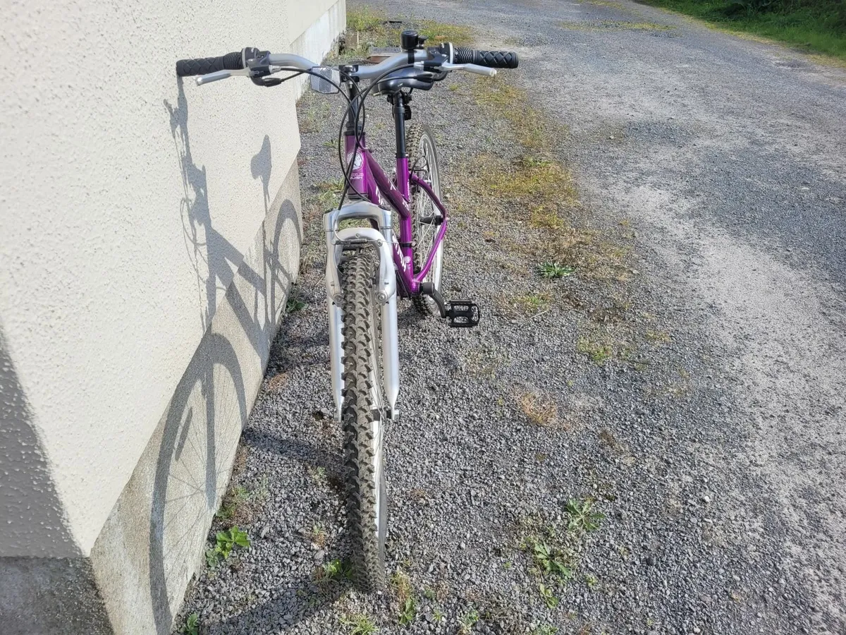 Bicycle - Image 2