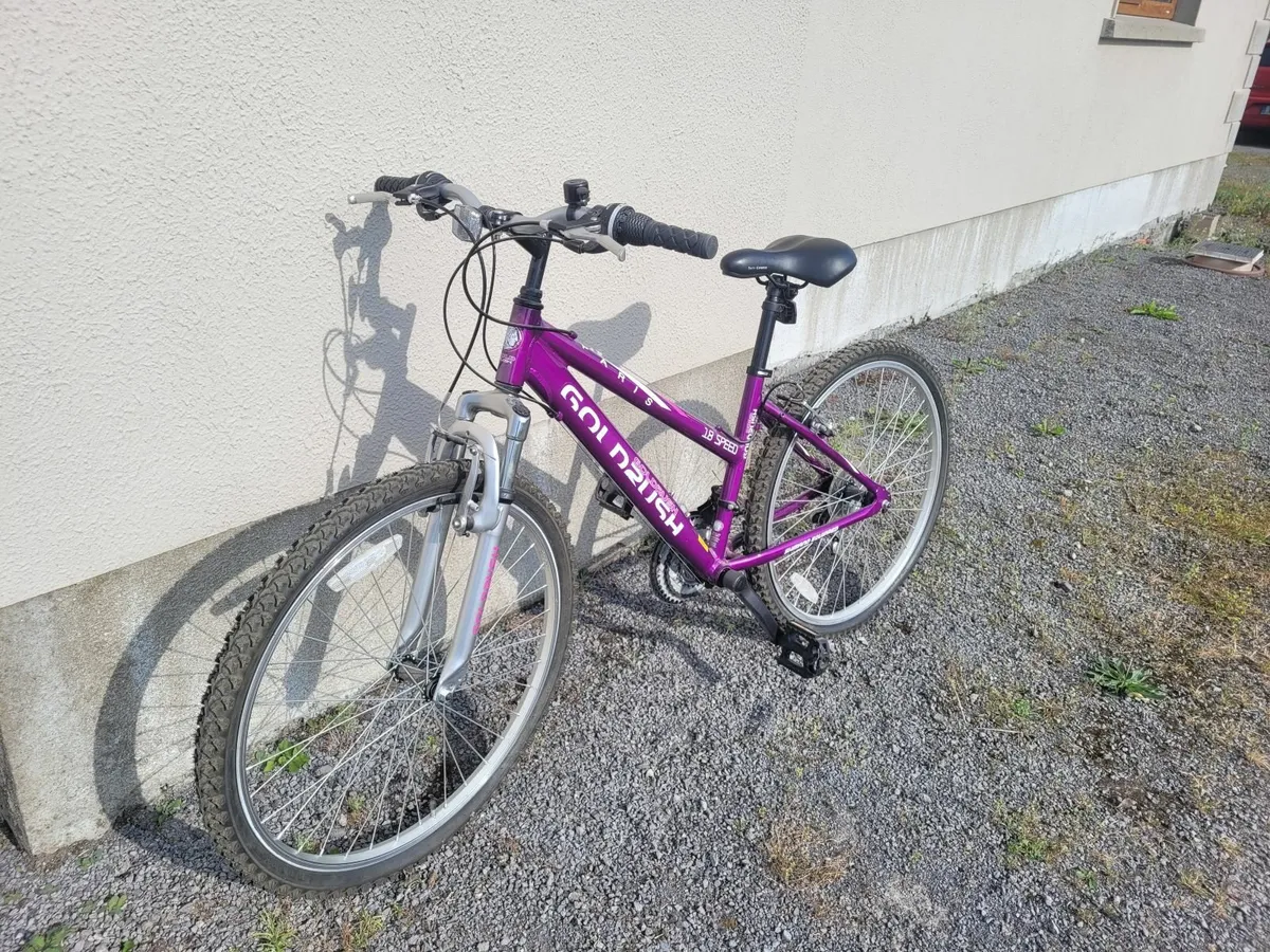 Bicycle - Image 4