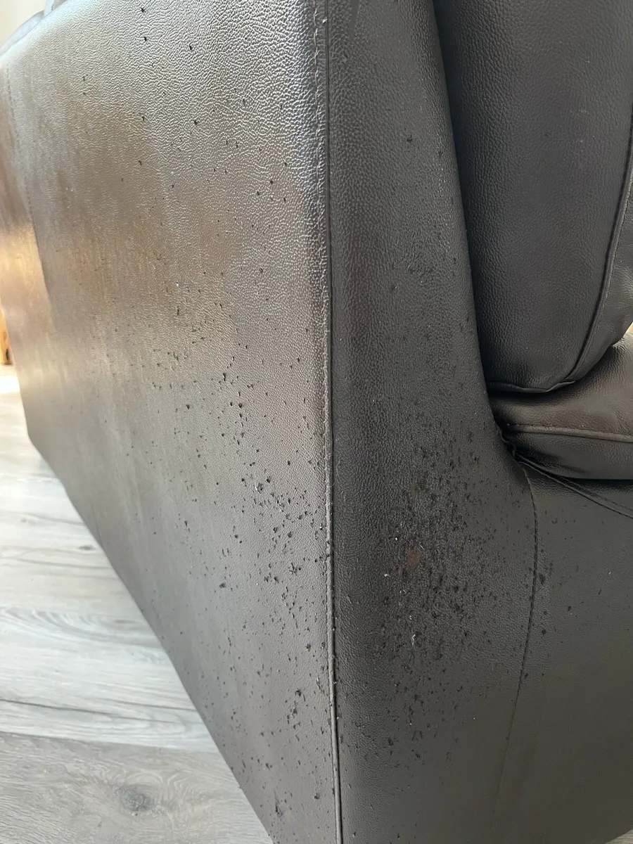 Two Leather Couches - Image 3