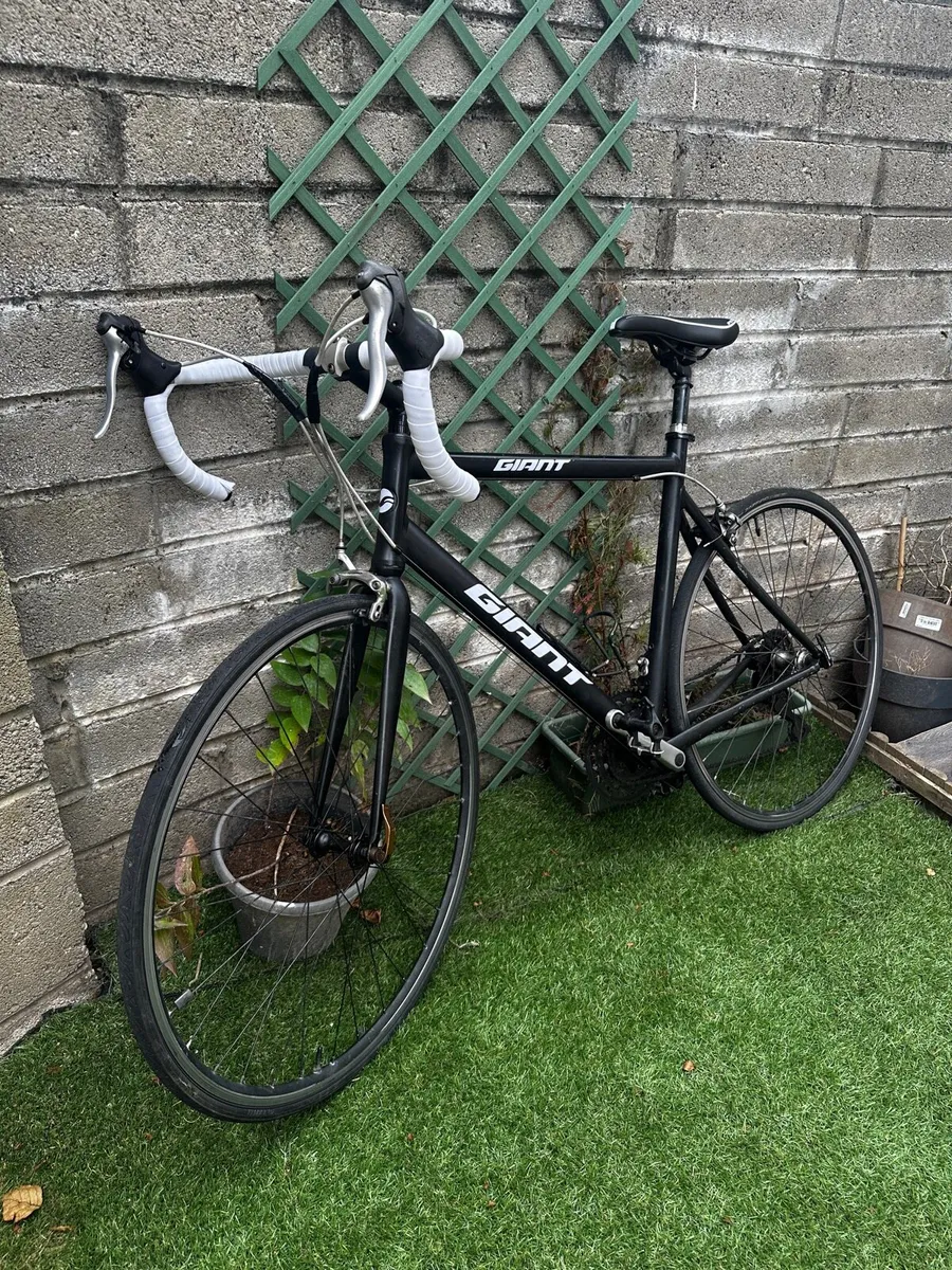 Giant bicycle - Image 1
