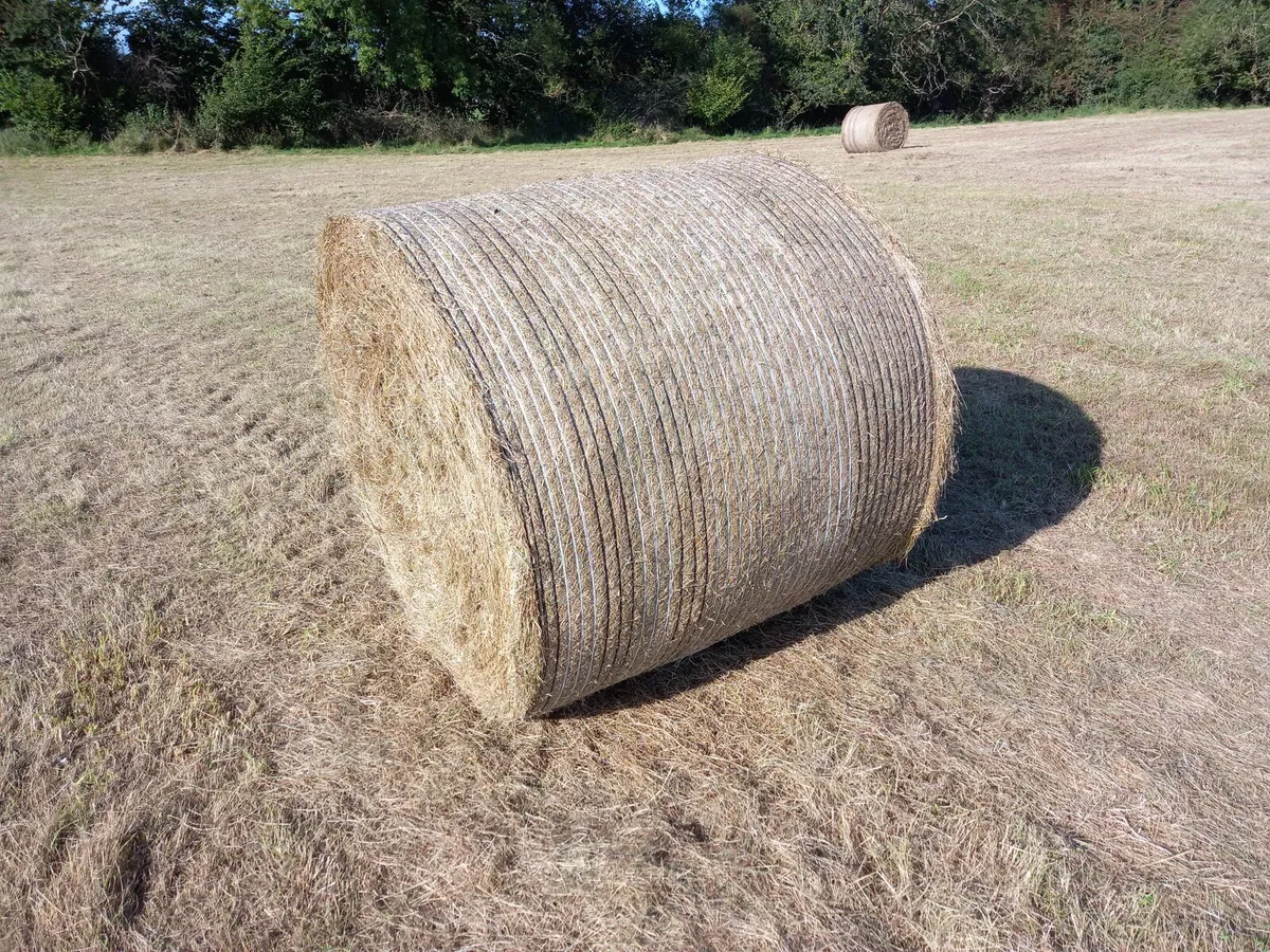 Hay Bales, near Athlone, County Roscommon