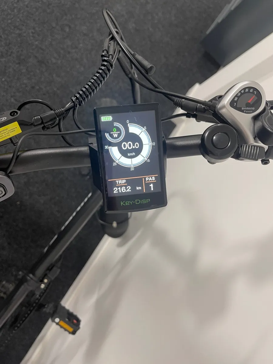 Electric Bike - Image 3