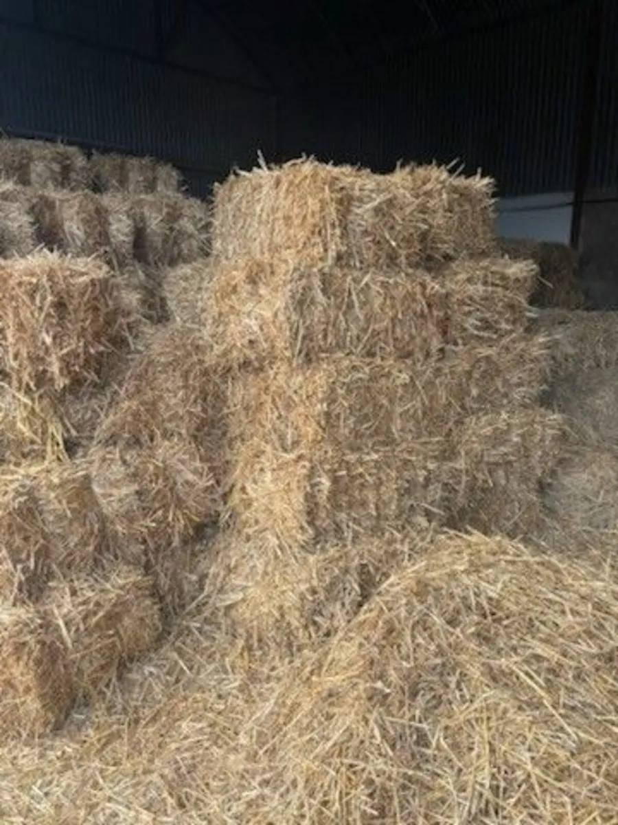 Small square bales of straw