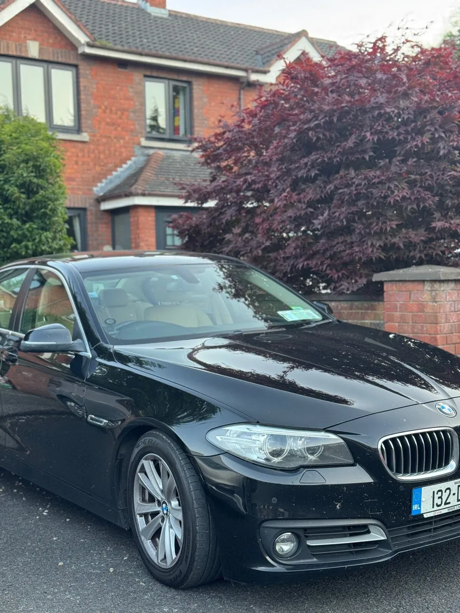 BMW 518d - Image 2