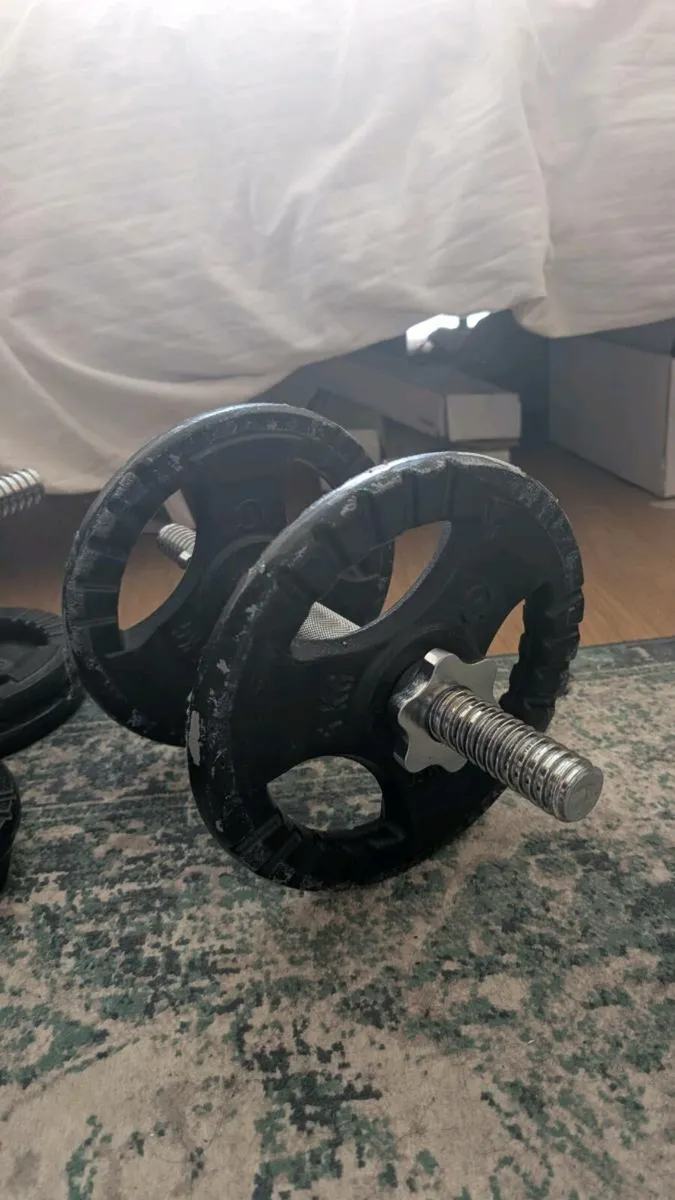 Dumbbells 35kg total - Image 2