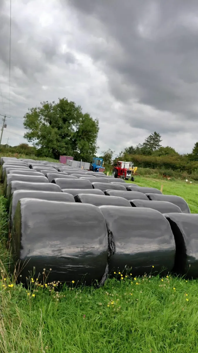 Bales of silage