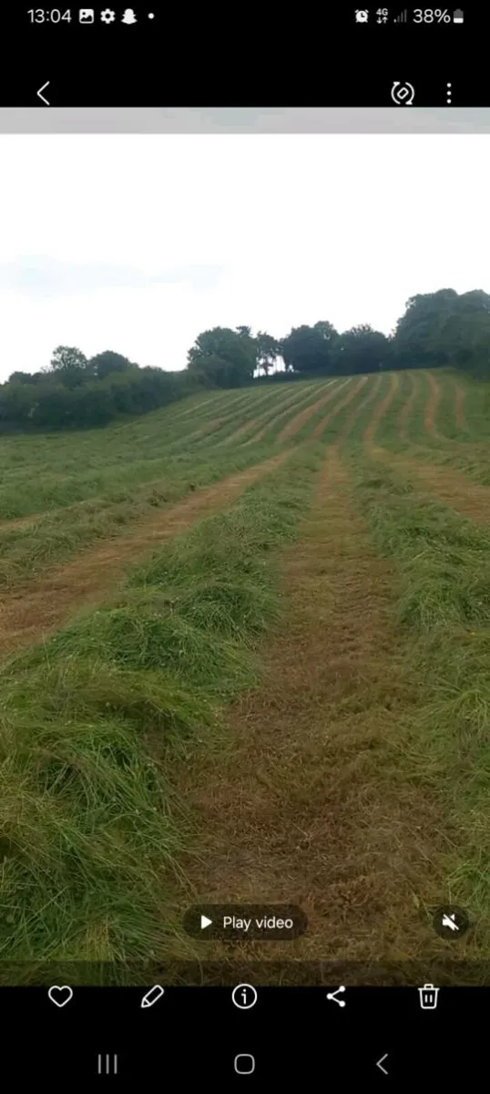 Silage - Image 1