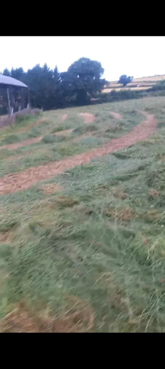 Silage - Image 2