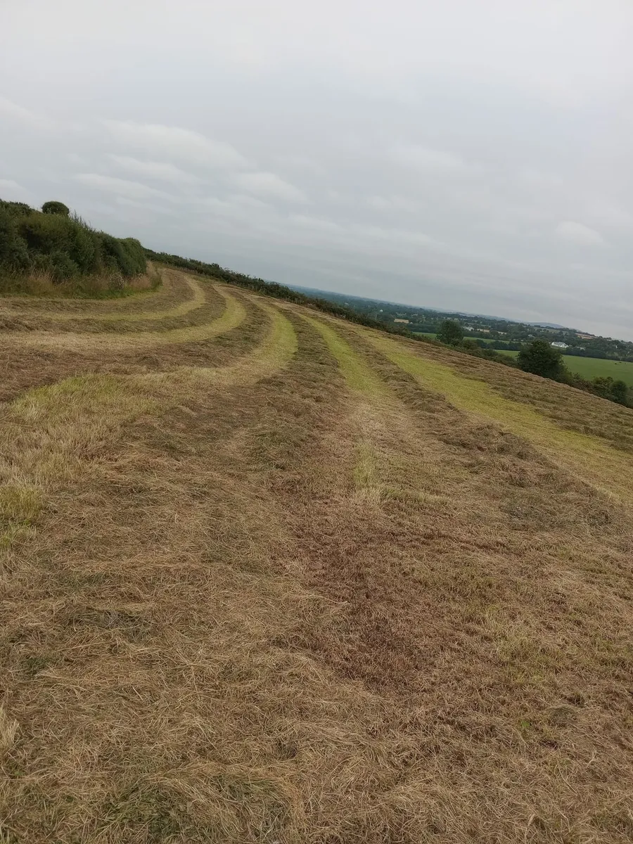Silage - Image 3
