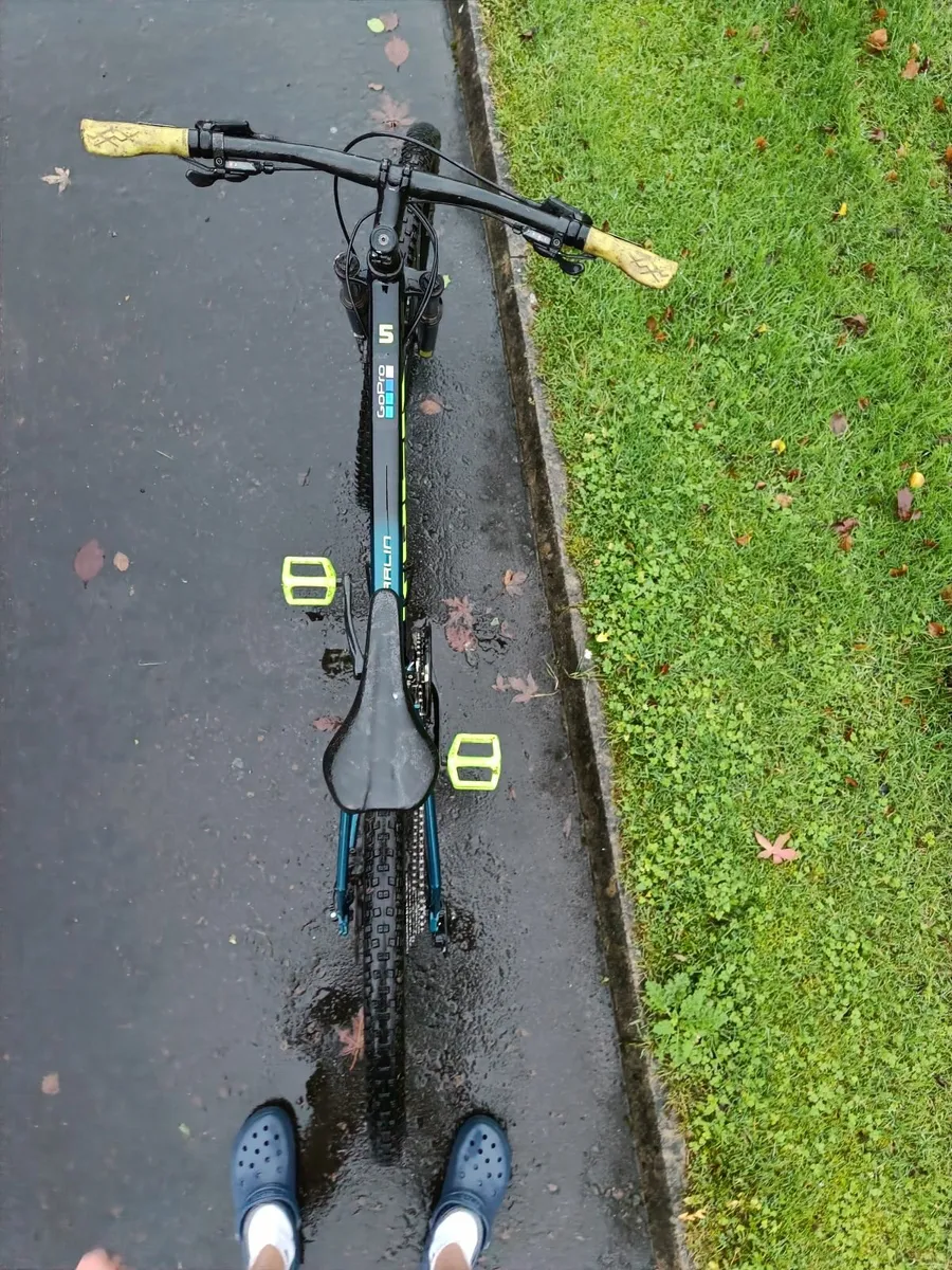 Trek marlin 5 bike - Image 2