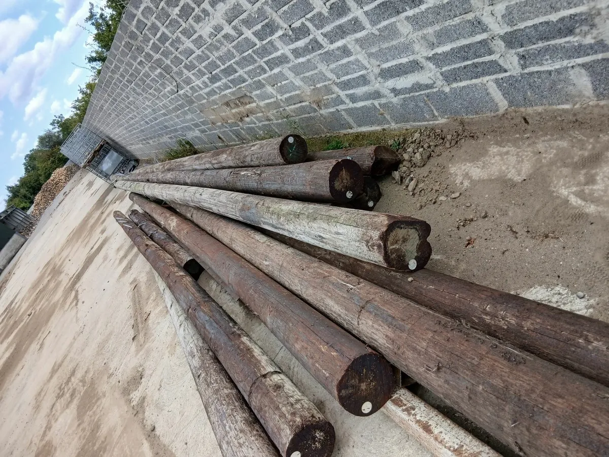Telegraph poles