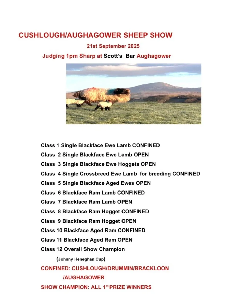 SHEEPSHOW