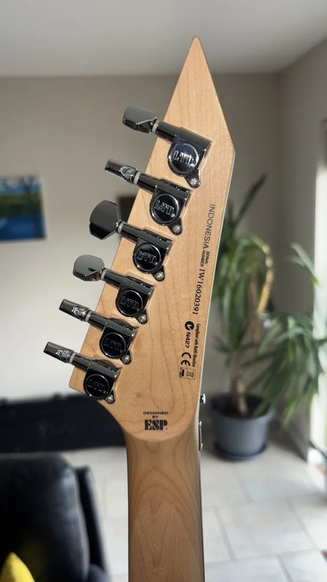 Electric guitar - Image 4