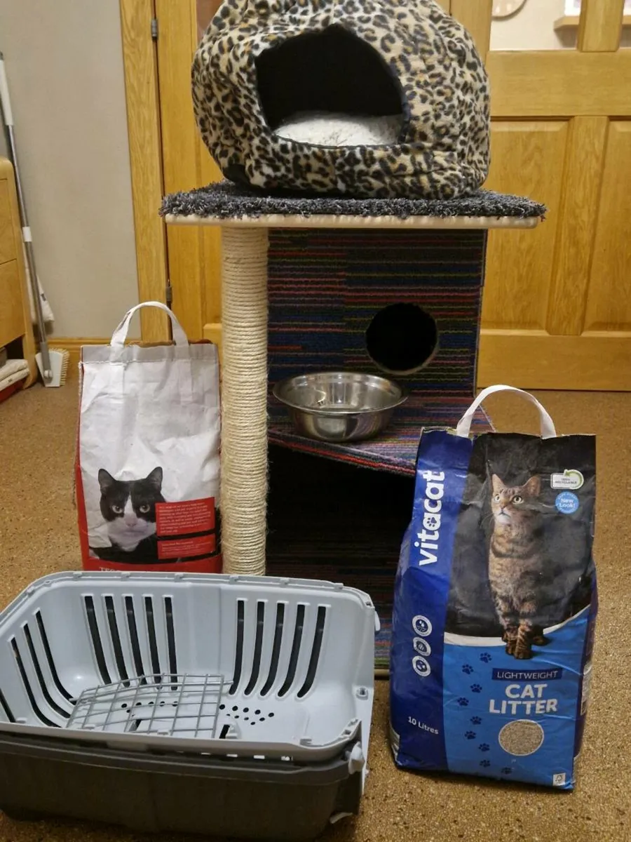 Cat bed - Image 1