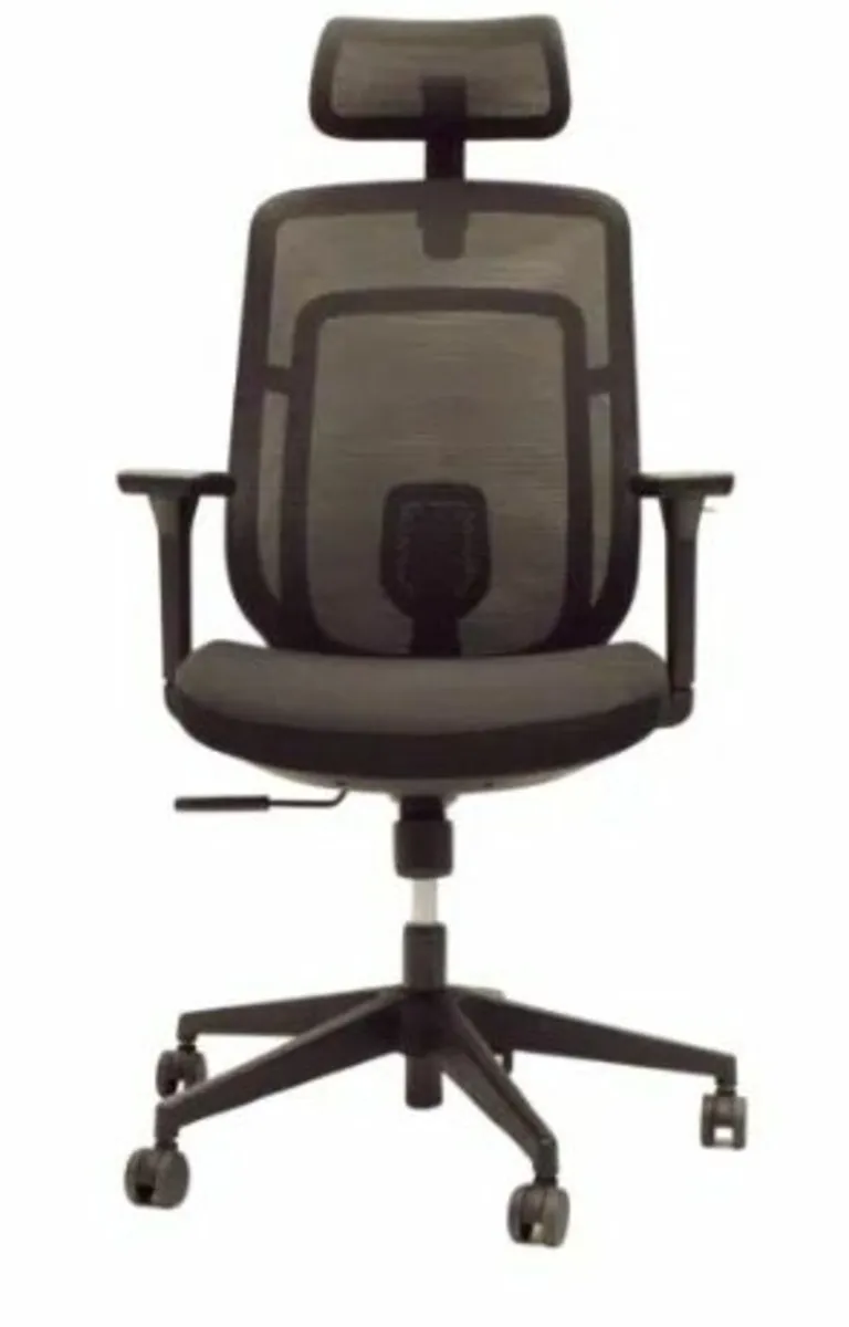 Luan Delta Swivel Chair - Image 2