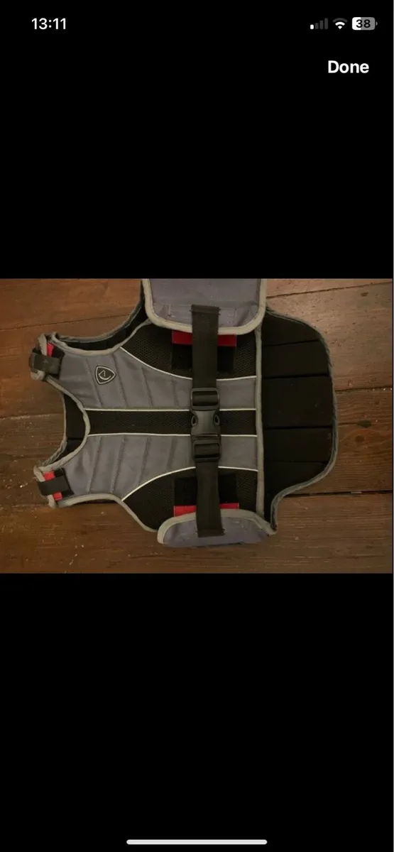Back protector - Image 1