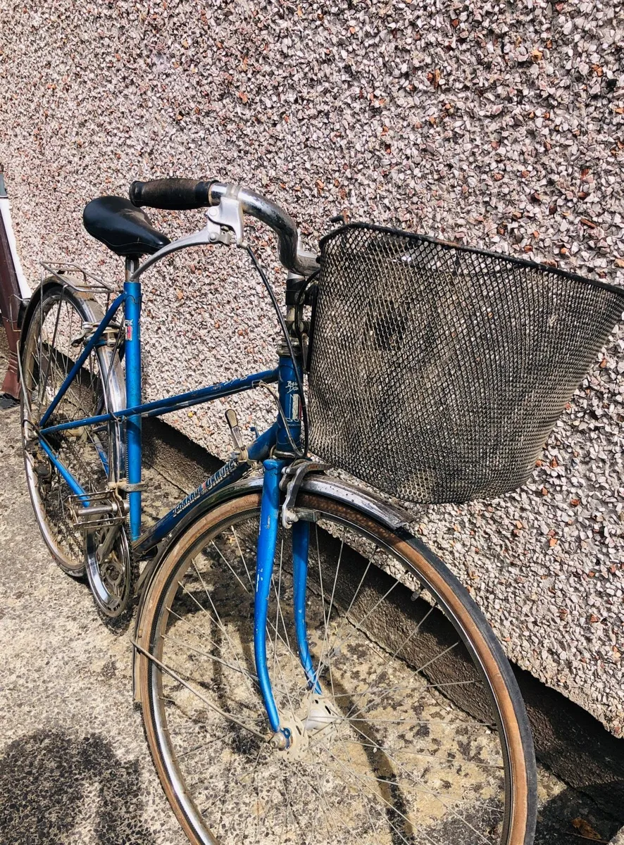 Girls Bicycle - Image 3