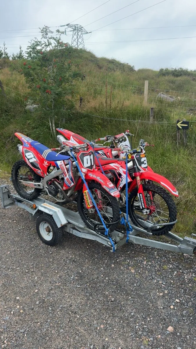 Bike trailer - Image 1