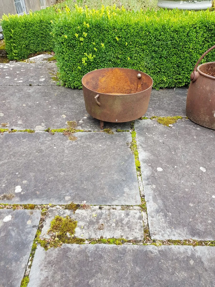 Antique Flower Pots - Image 1